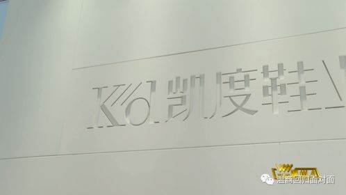 劉彬 以產品研發驅動溫州鞋業升級，教育項目與科研文獻并進